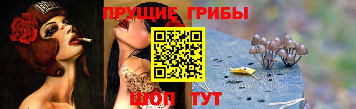 Кингисепп  Псилоцибиновые грибы Magic Shrooms  Вход с VPN 